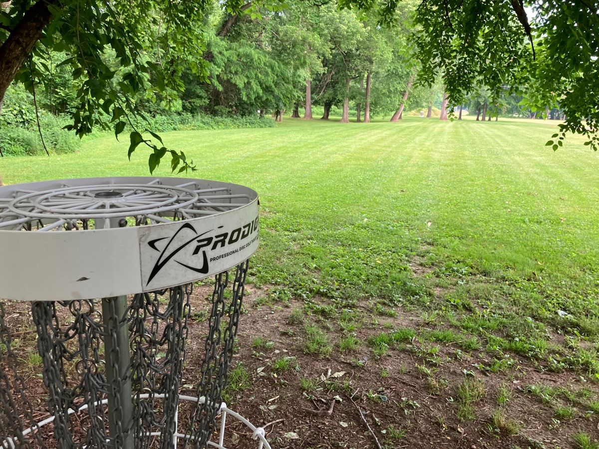 Hole 12 basket looking towards tee area.