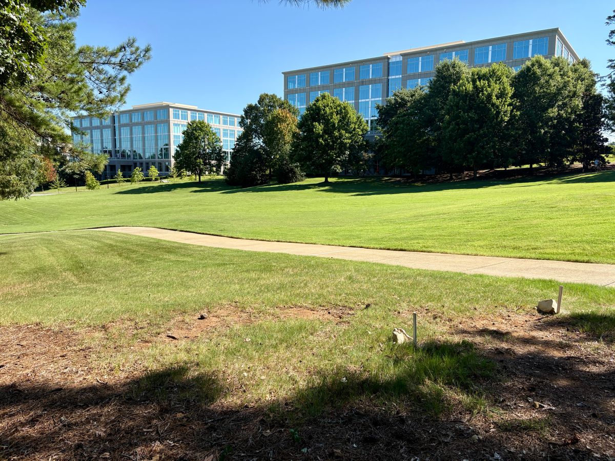 Hole 18 tee