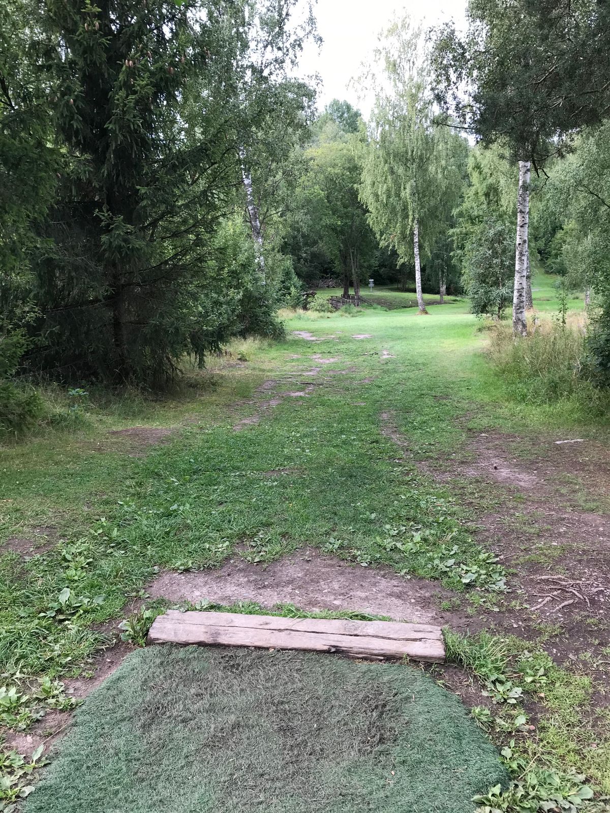 Hål 5