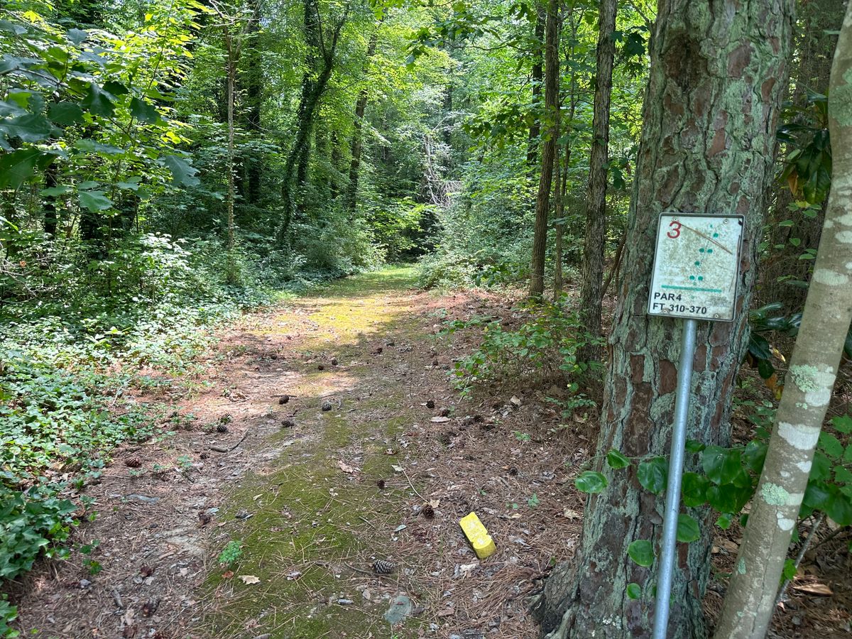 Tee 3