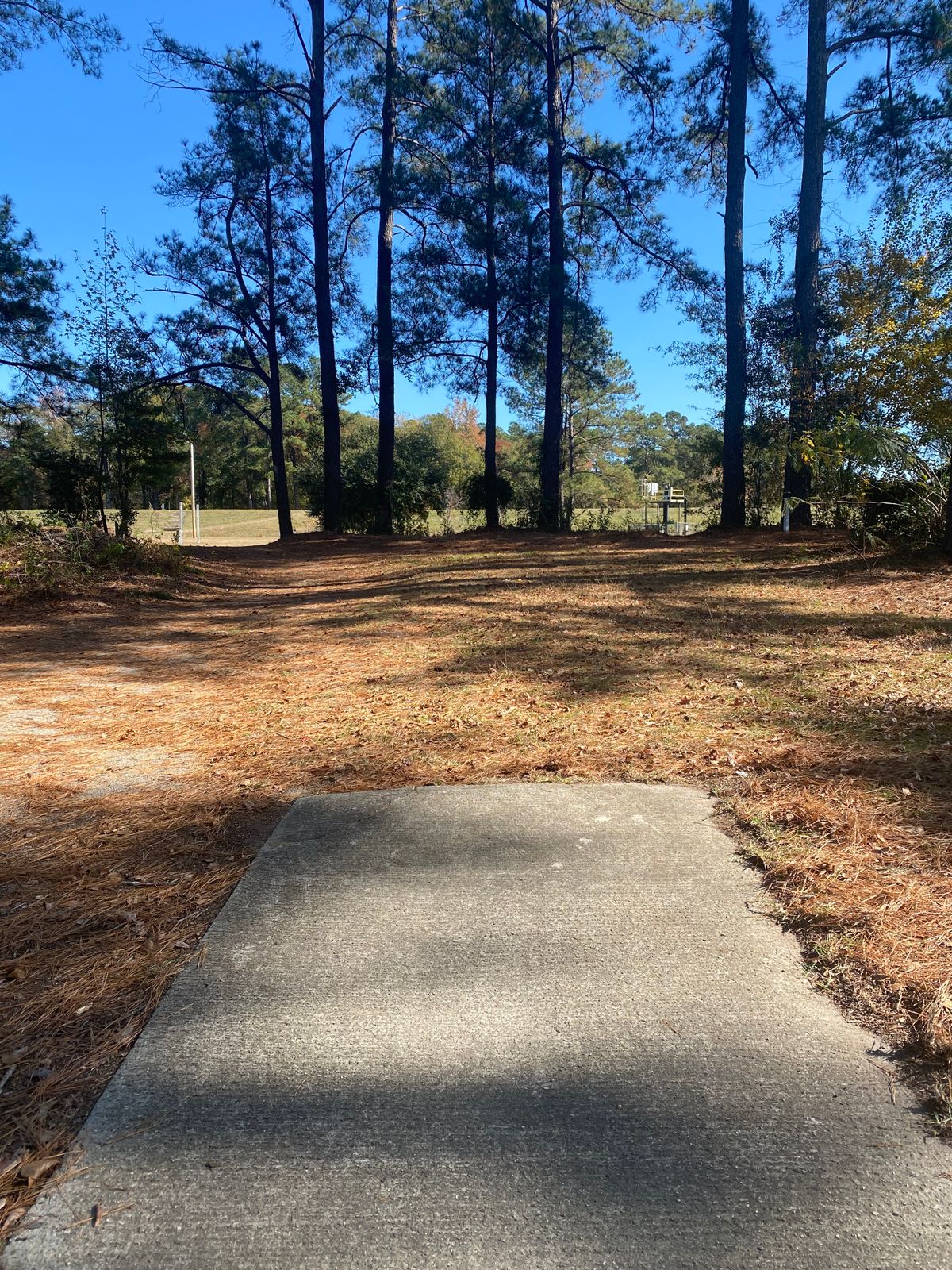 Hole 3 Green Tee
