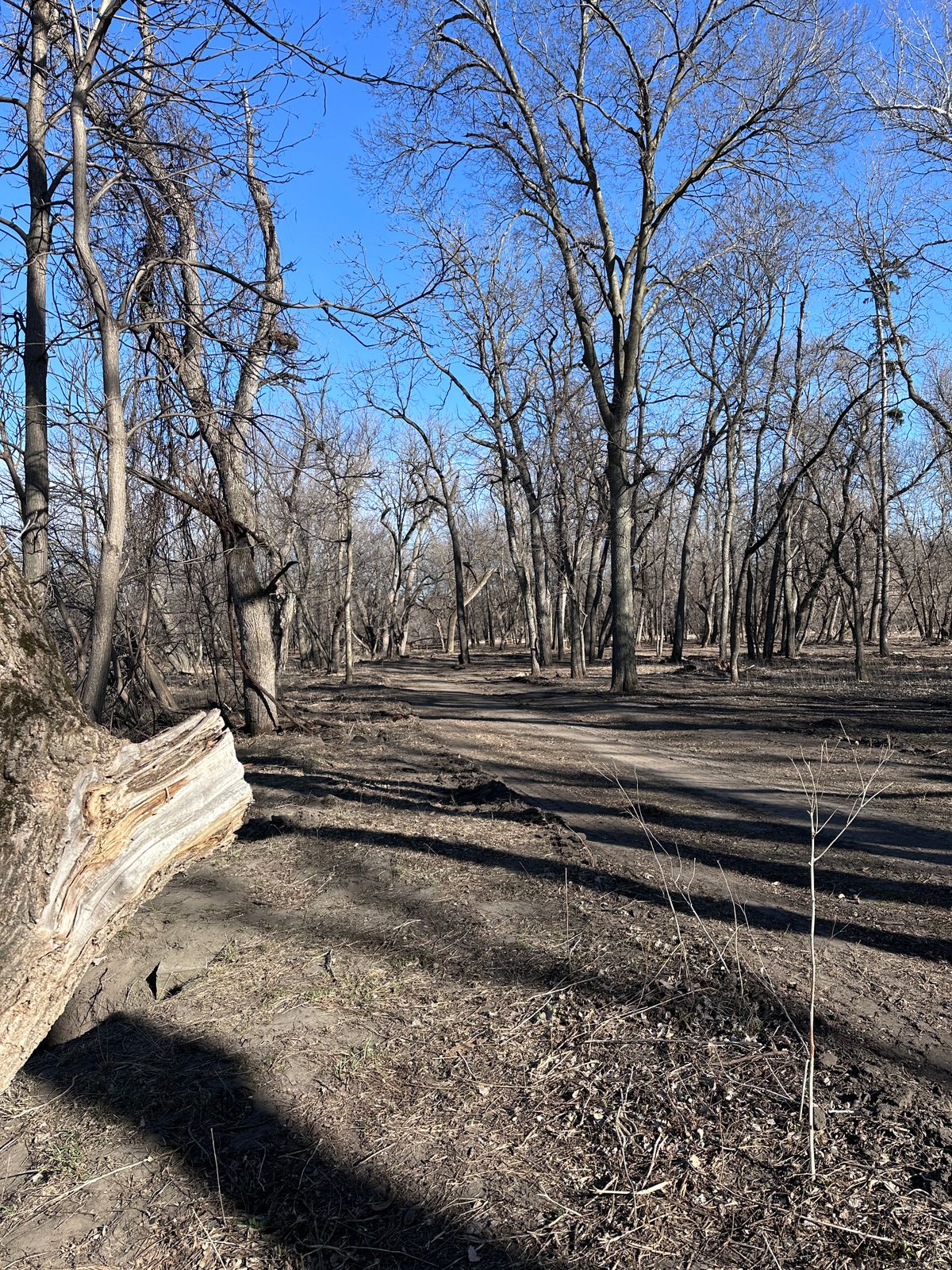 Hole 5 fairway across river