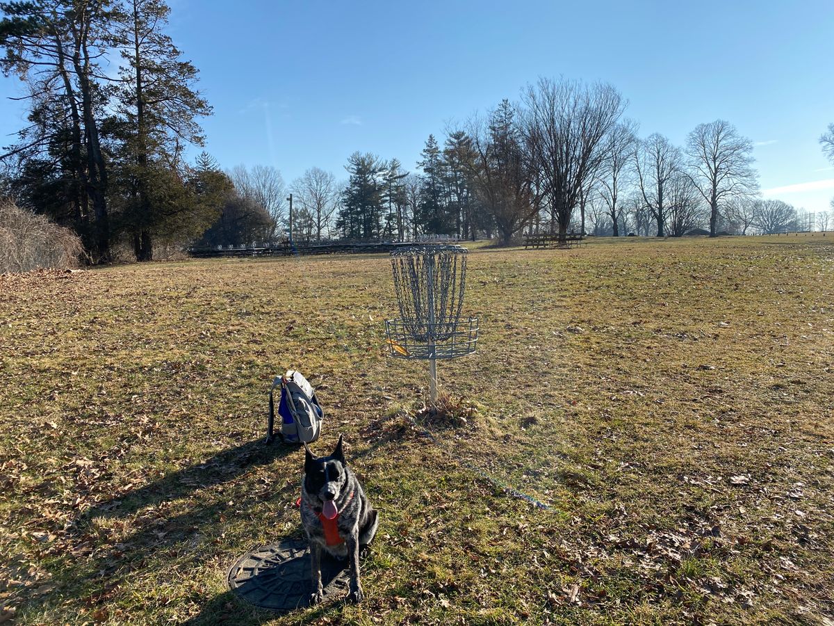 Original 17th basket — now used for new #7, and again as #13 for "18 on 10" layout if traffic allows.