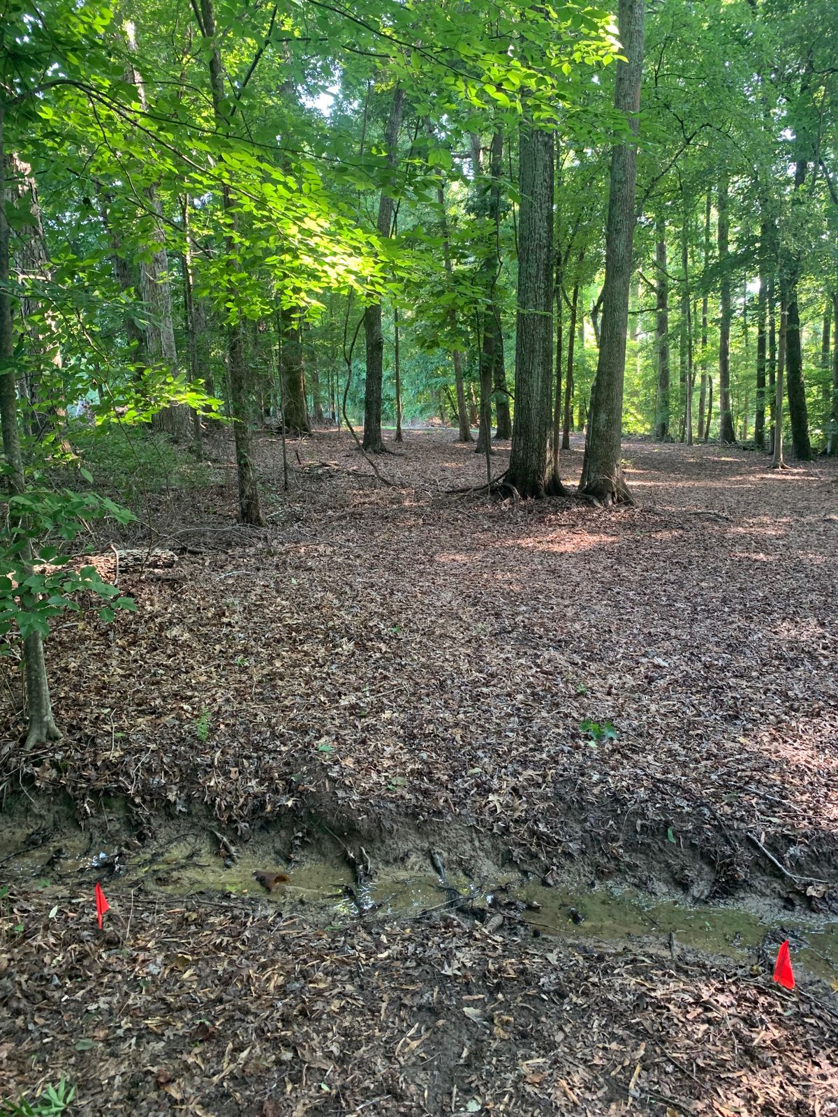 Hole 2 Red Tee. 