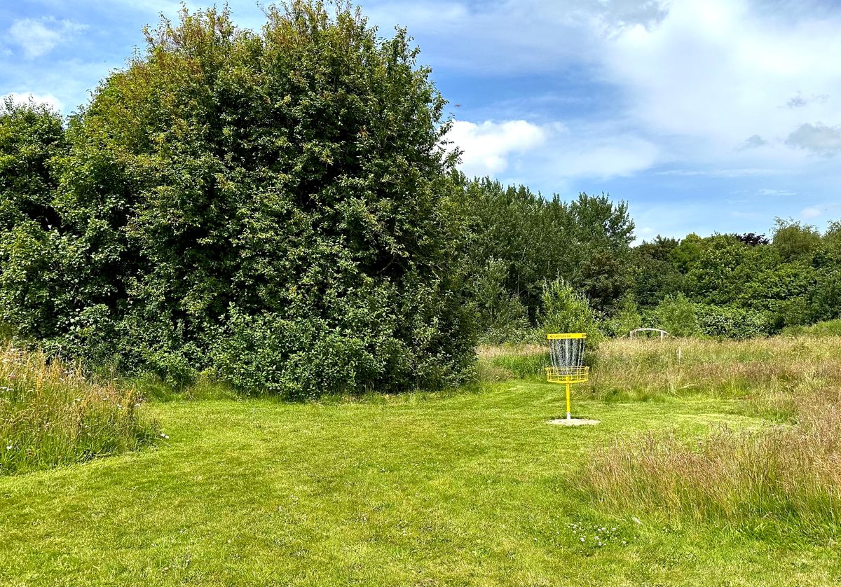 Hole 5 - par 3 with a drive that must avoid a lot of vegetation