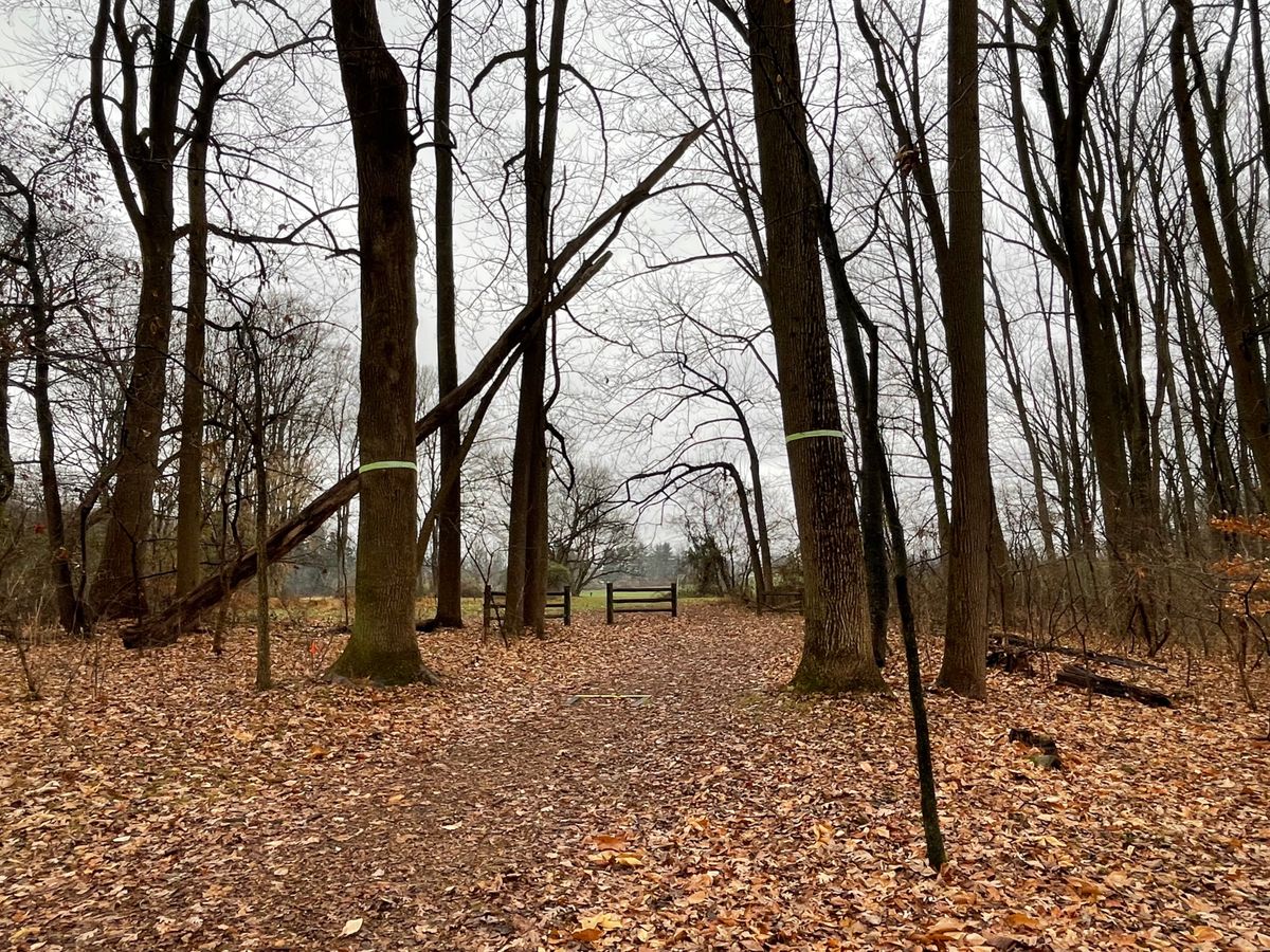 Approach to Hole 14B position. Double mando.
