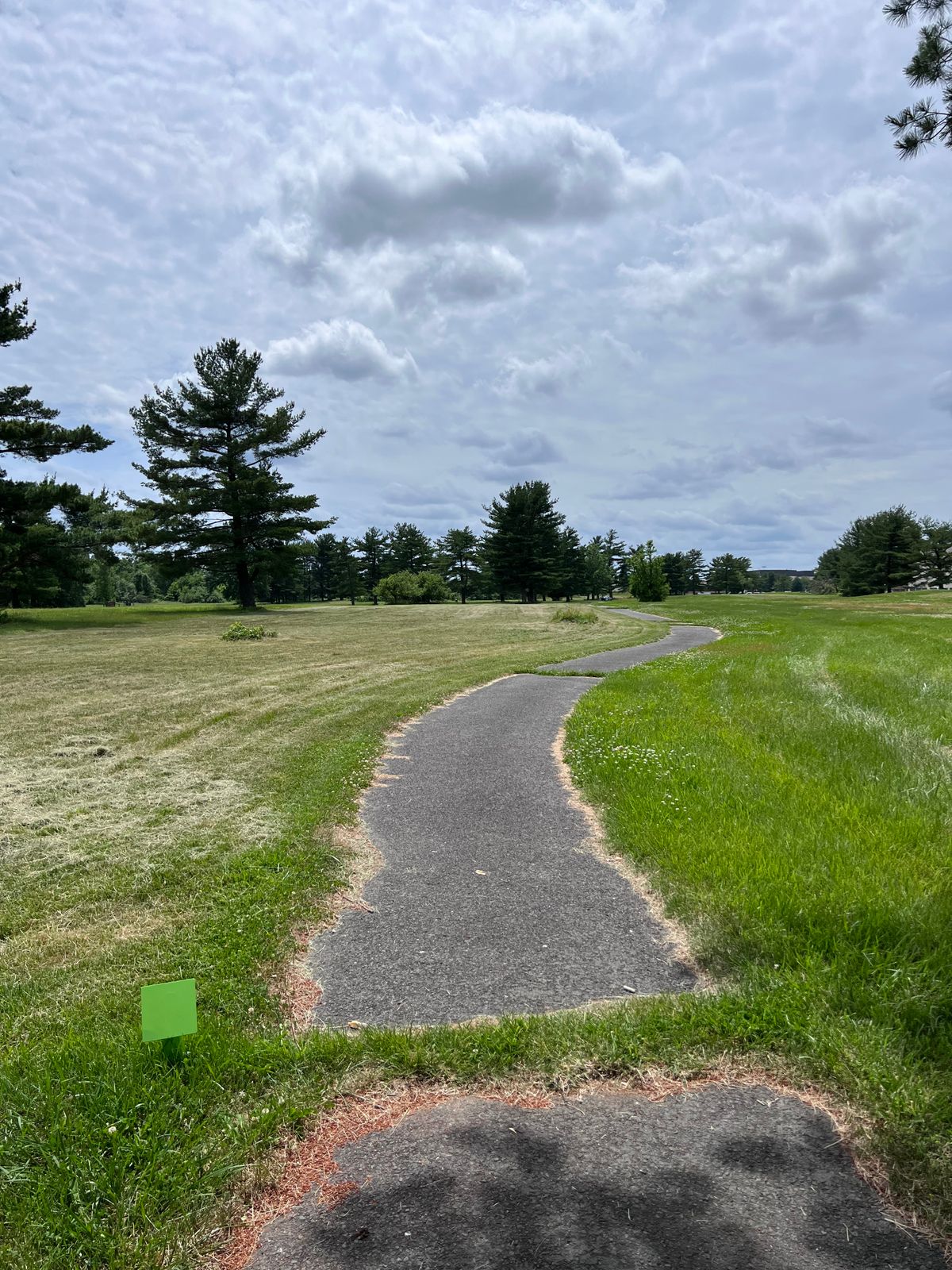 Hole 14 tee