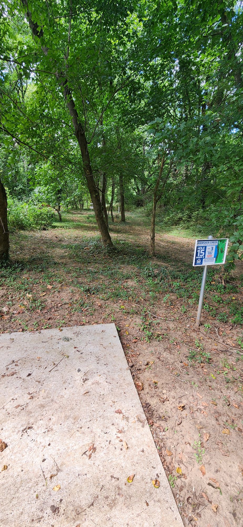 Hole 15B