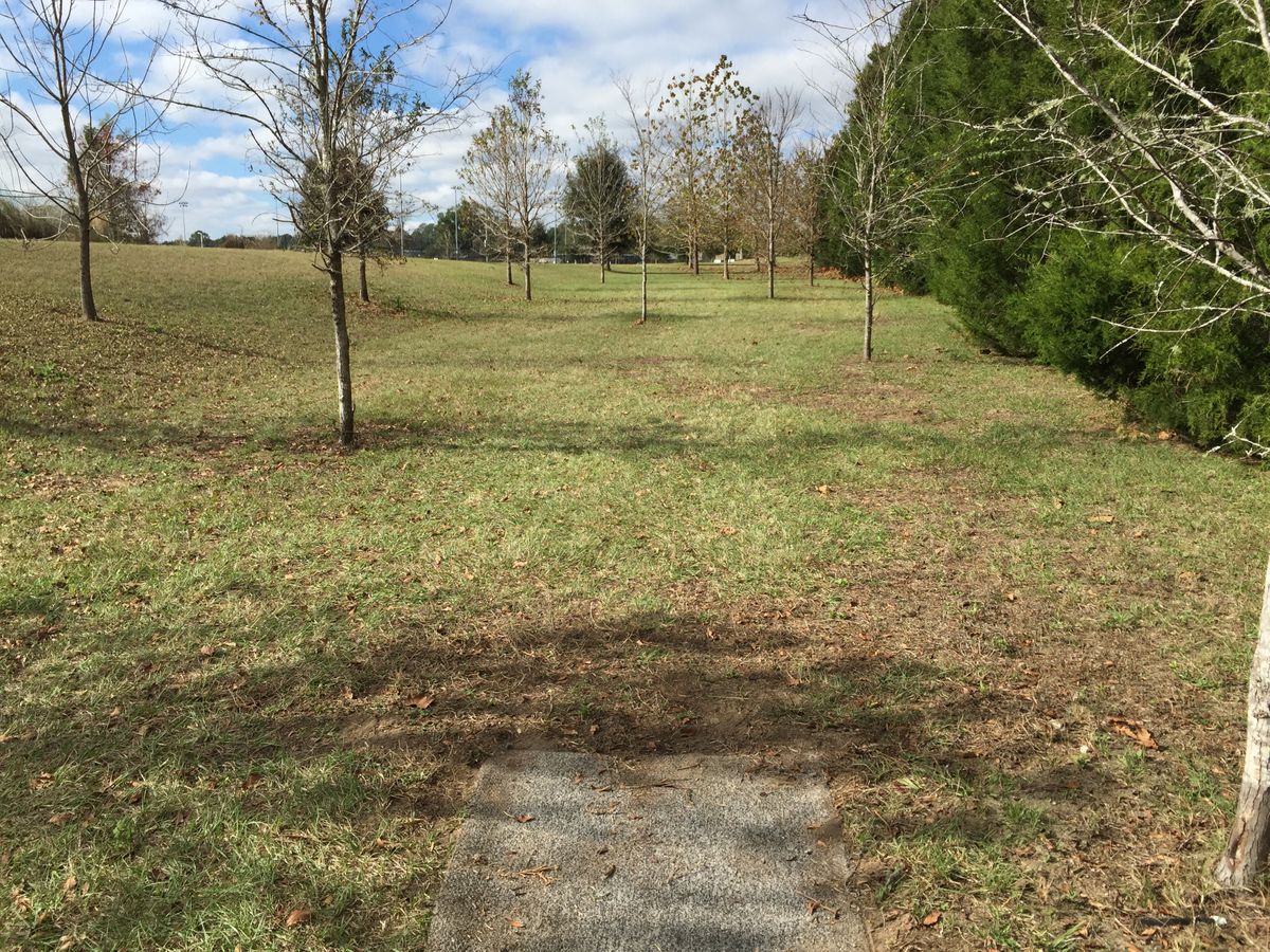 Hole 13