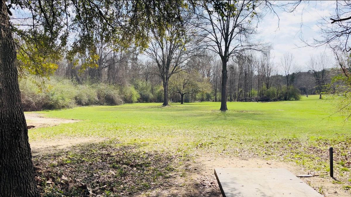 Hole 11