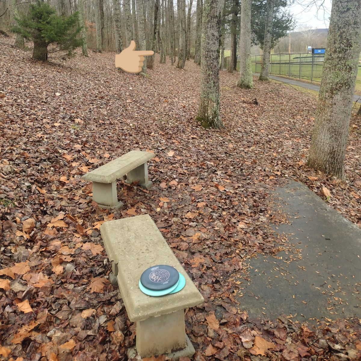 #6 Tee. Fun hole!