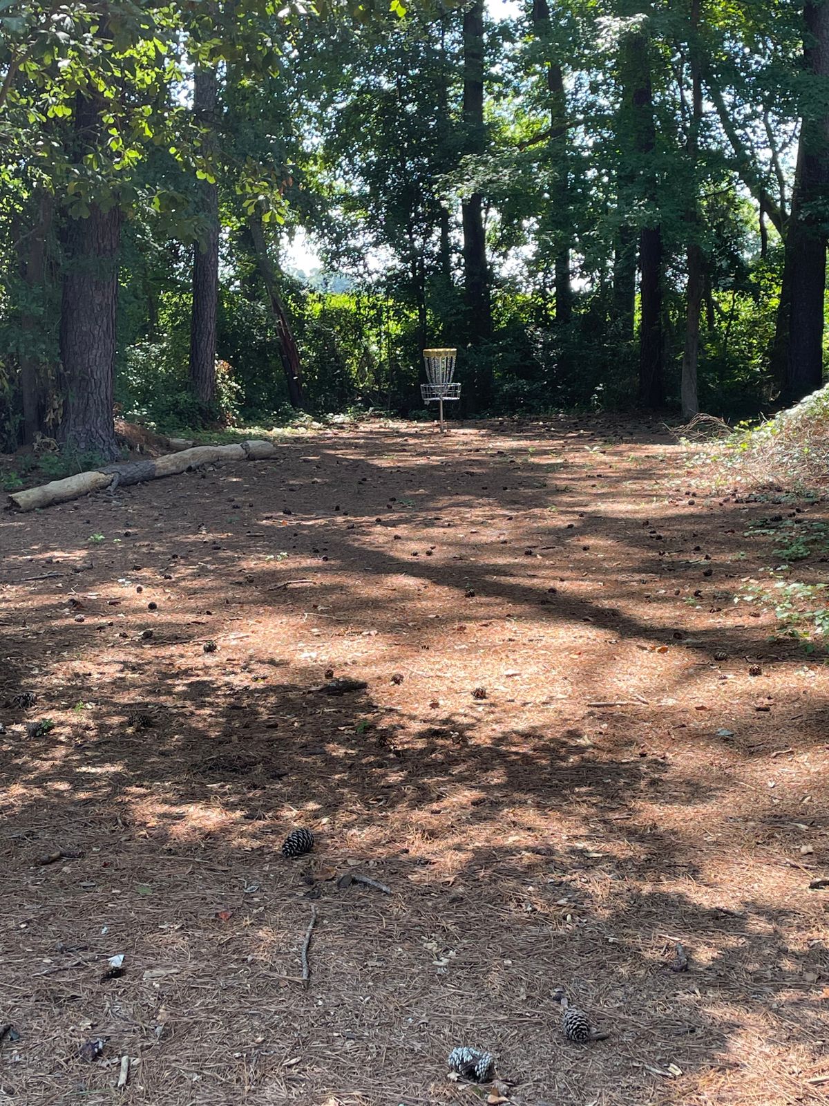 Hole #12 Approach To Basket