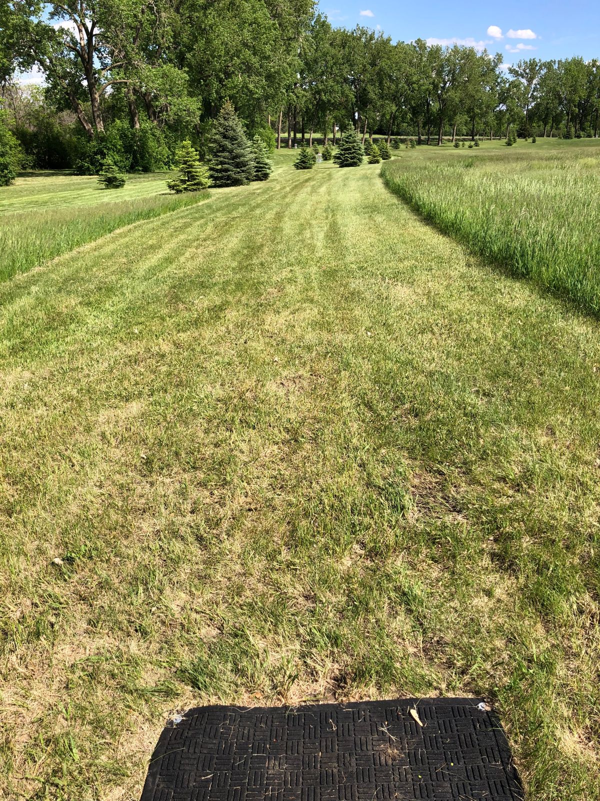 Hole 5 Tee