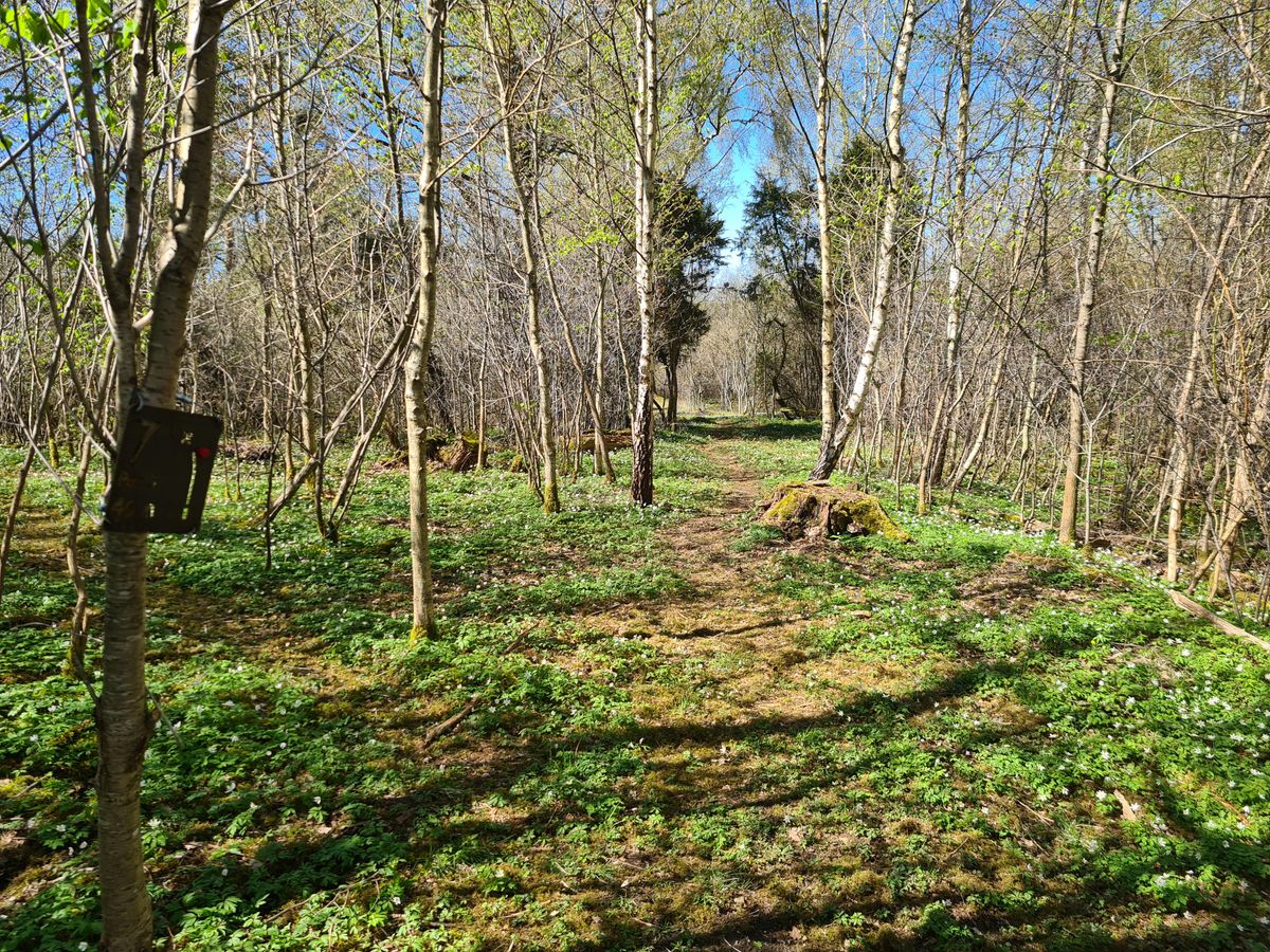 Hål 7.