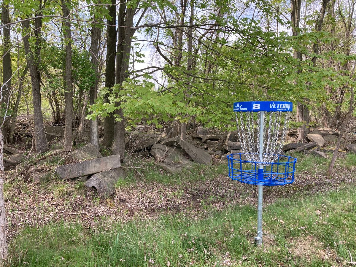 8 short basket