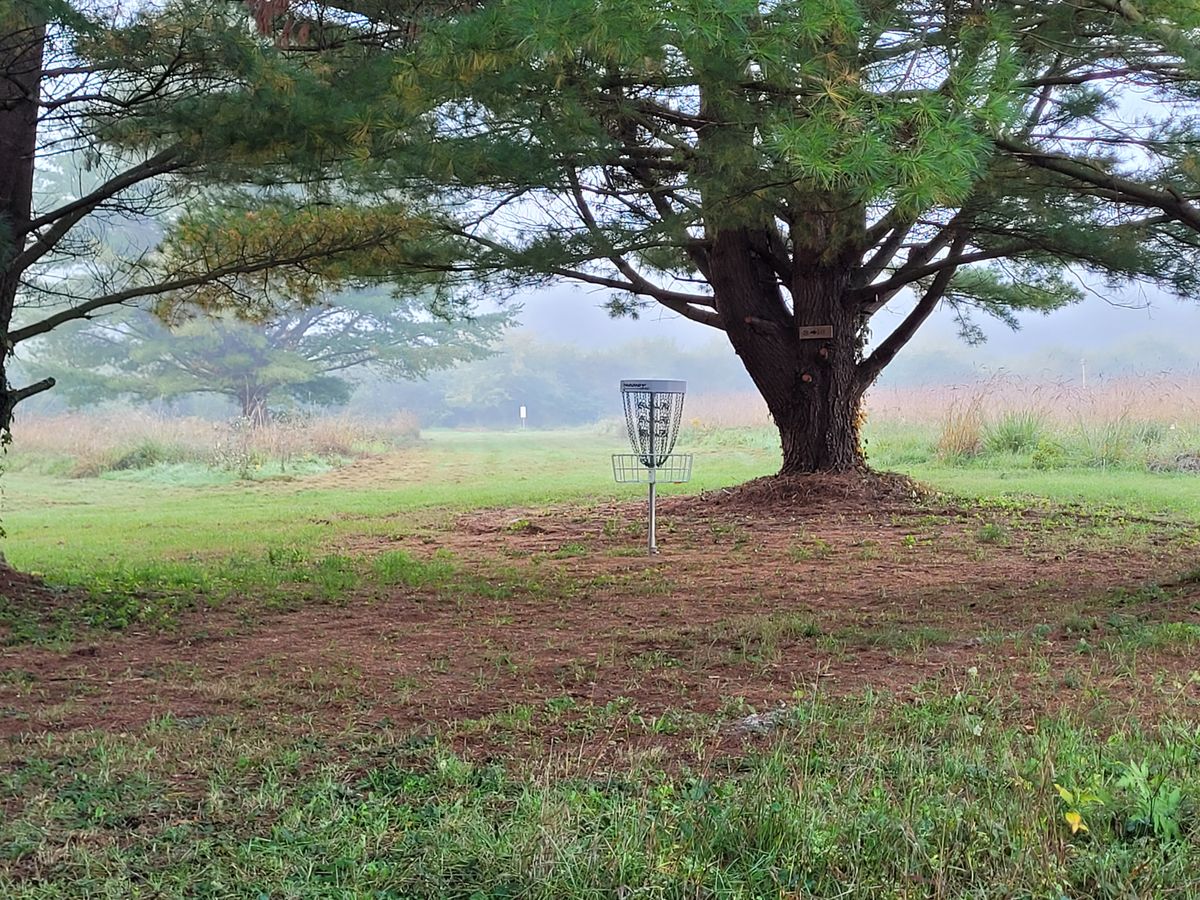 Hole 5
