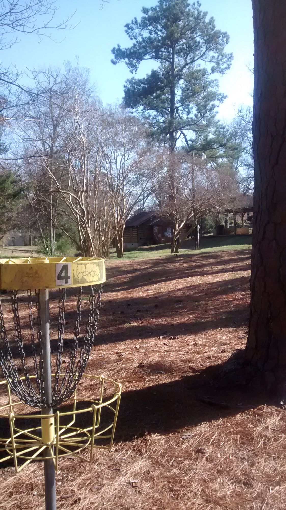 behind basket looking down fairway