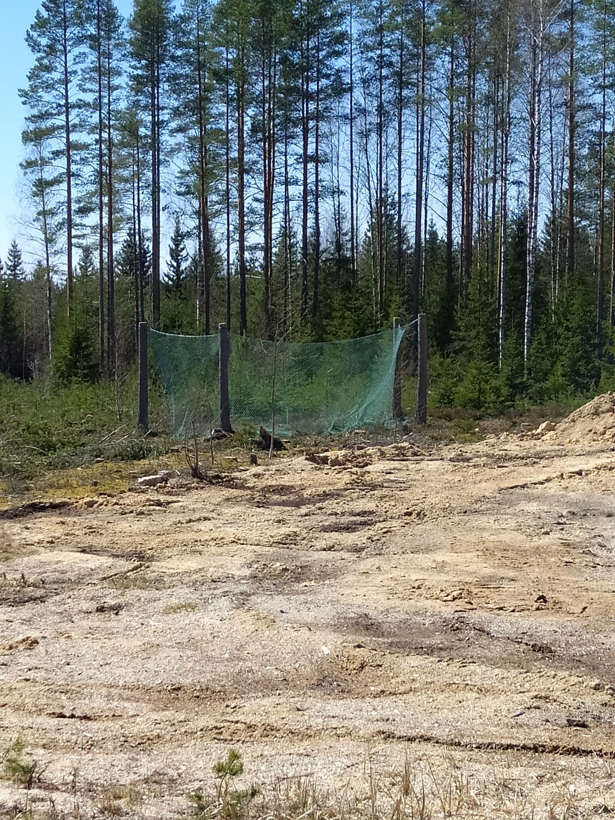 Paikalta löytyy heittoverkko