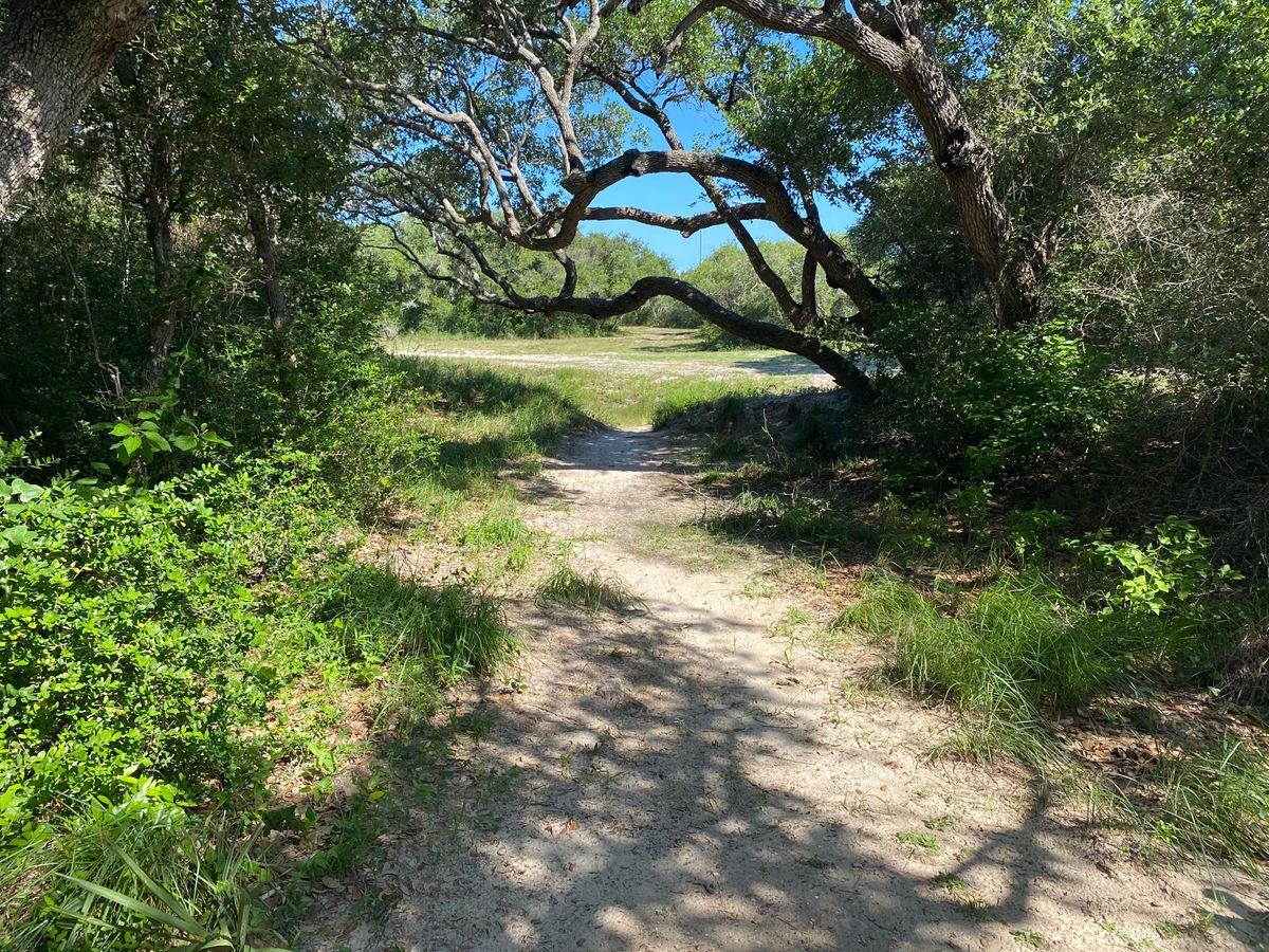 From the teepad for hole 9