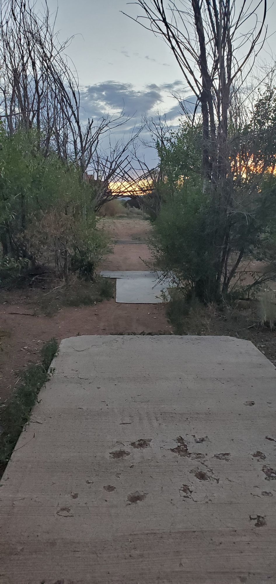 Hole #9 with Leaves