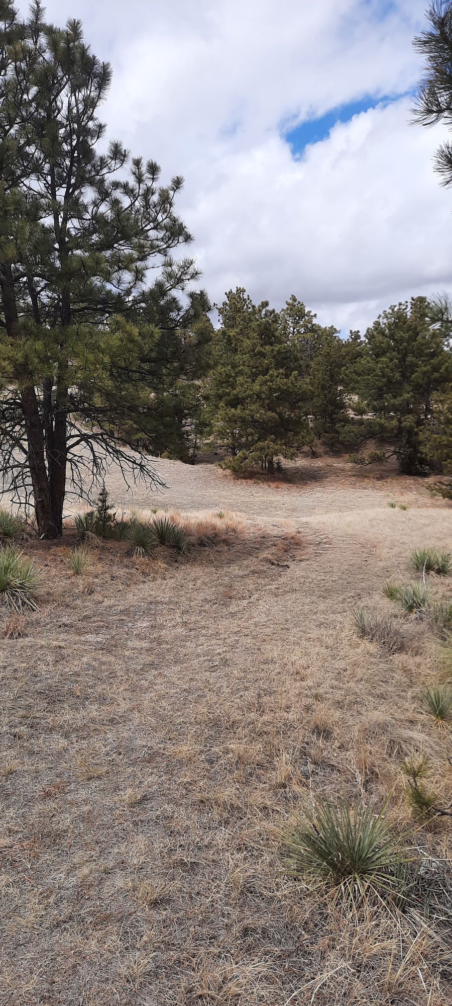 Hole 9 from tee