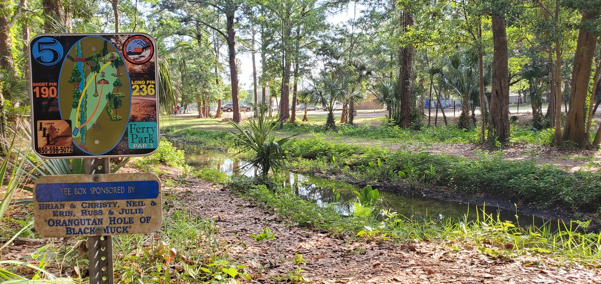 The view off Pad #5 WARNING: the creek can be thirsty for discs