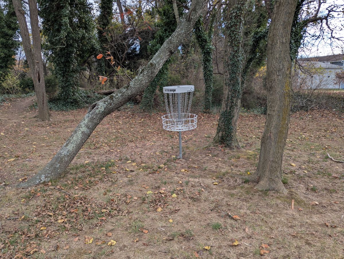 Last basket is right where you enter the course by the bridge in the trees