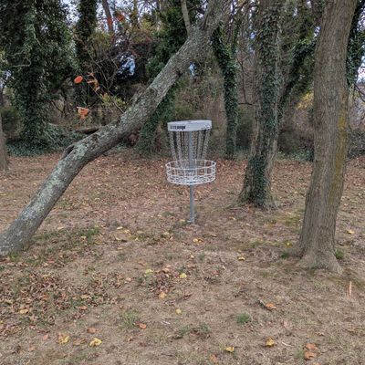 Last basket is right where you enter the course by the bridge in the trees