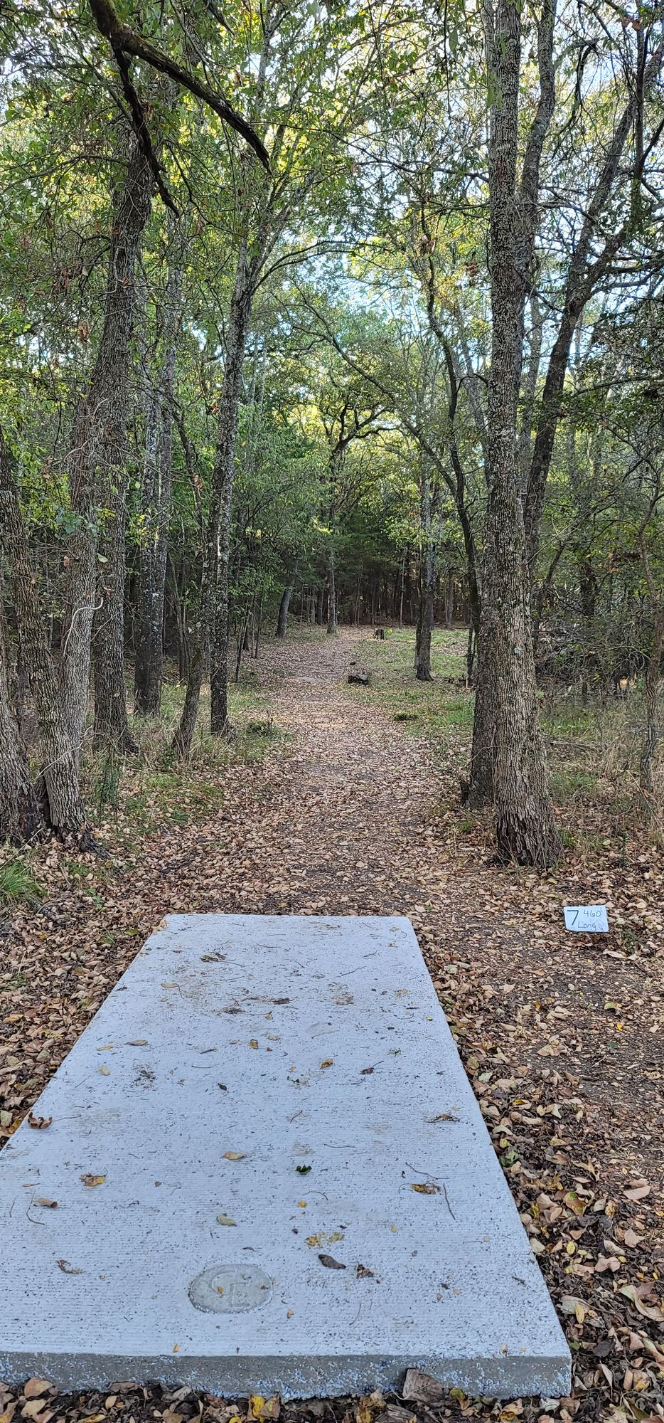 Hole 7 long tee