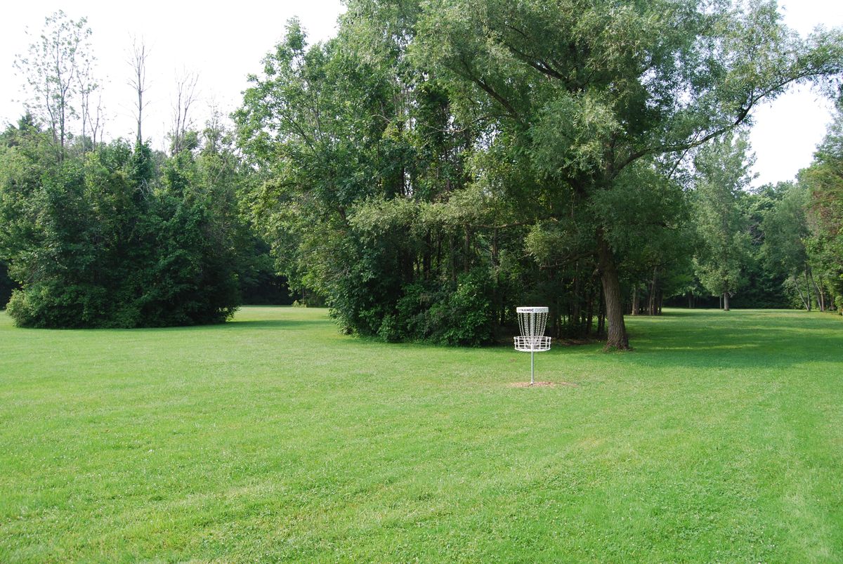 Hole 3 long tee position looking back down fairway