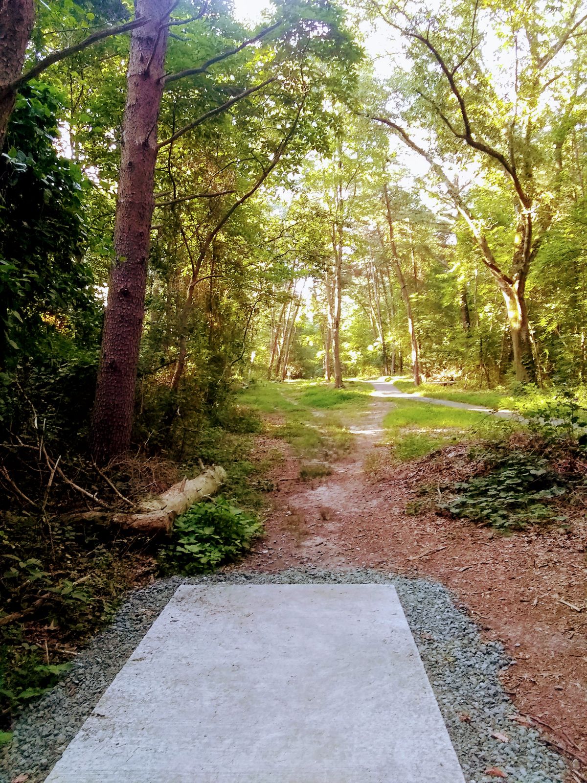Hole 12