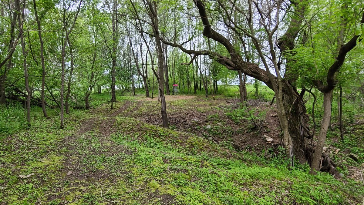 Hole 9