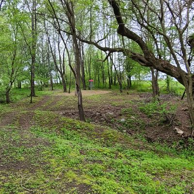 Hole 9