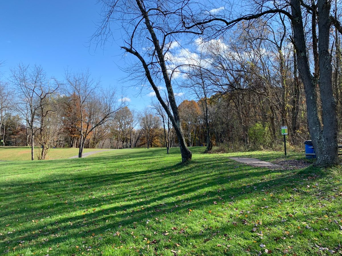 Hole 6 White tee