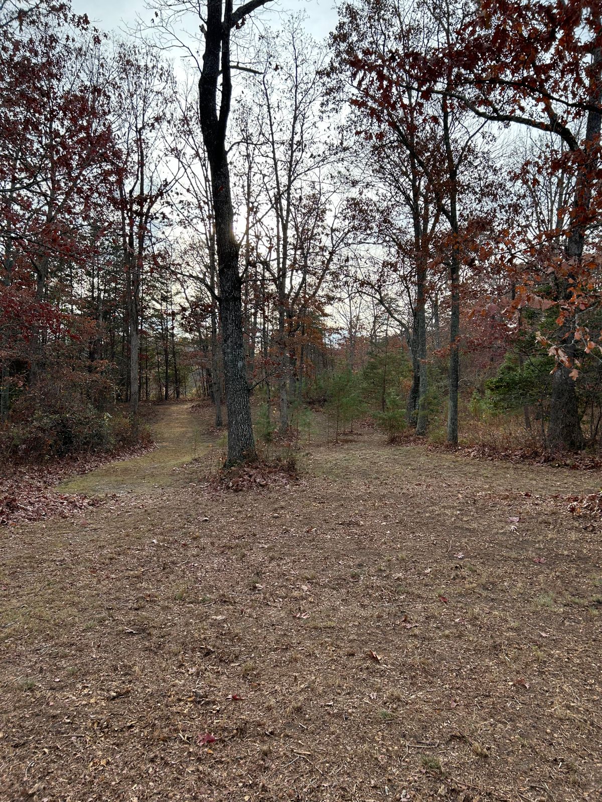 Hole 14