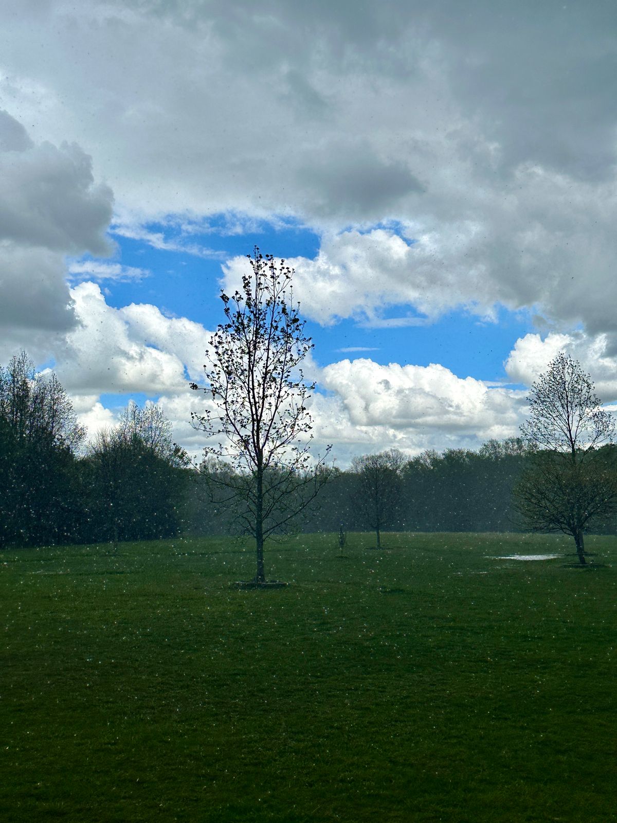From new pavilion