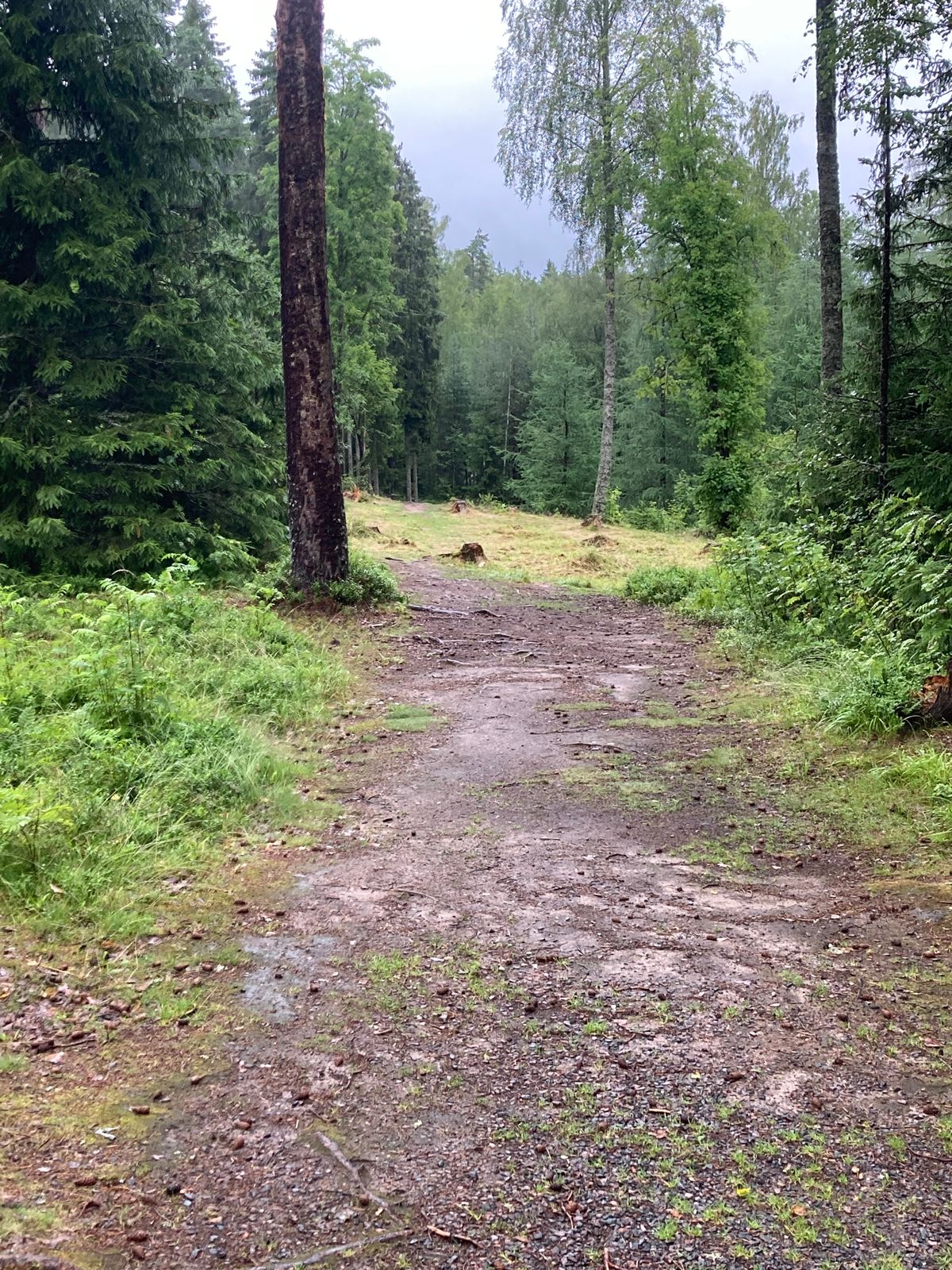 Utsikt över hål 5.