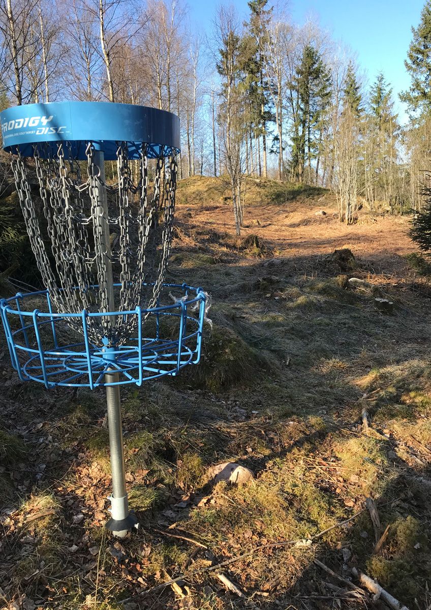 Hål 8 korg