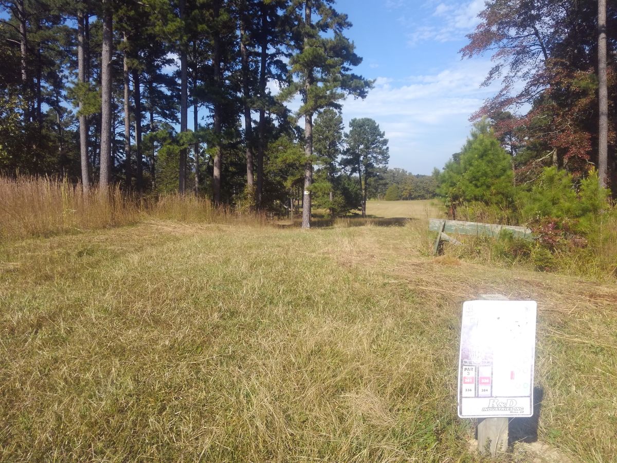 #5 tee