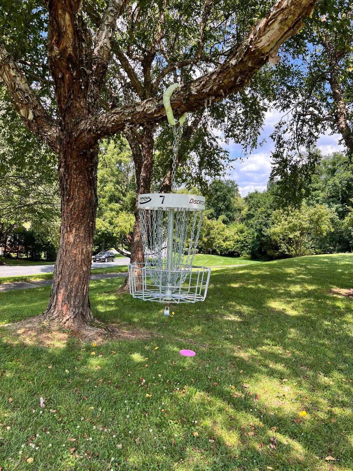 Hanging basket on 7. (Now hole 5)