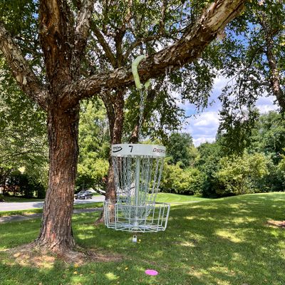 Hanging basket on 7. (Now hole 5)