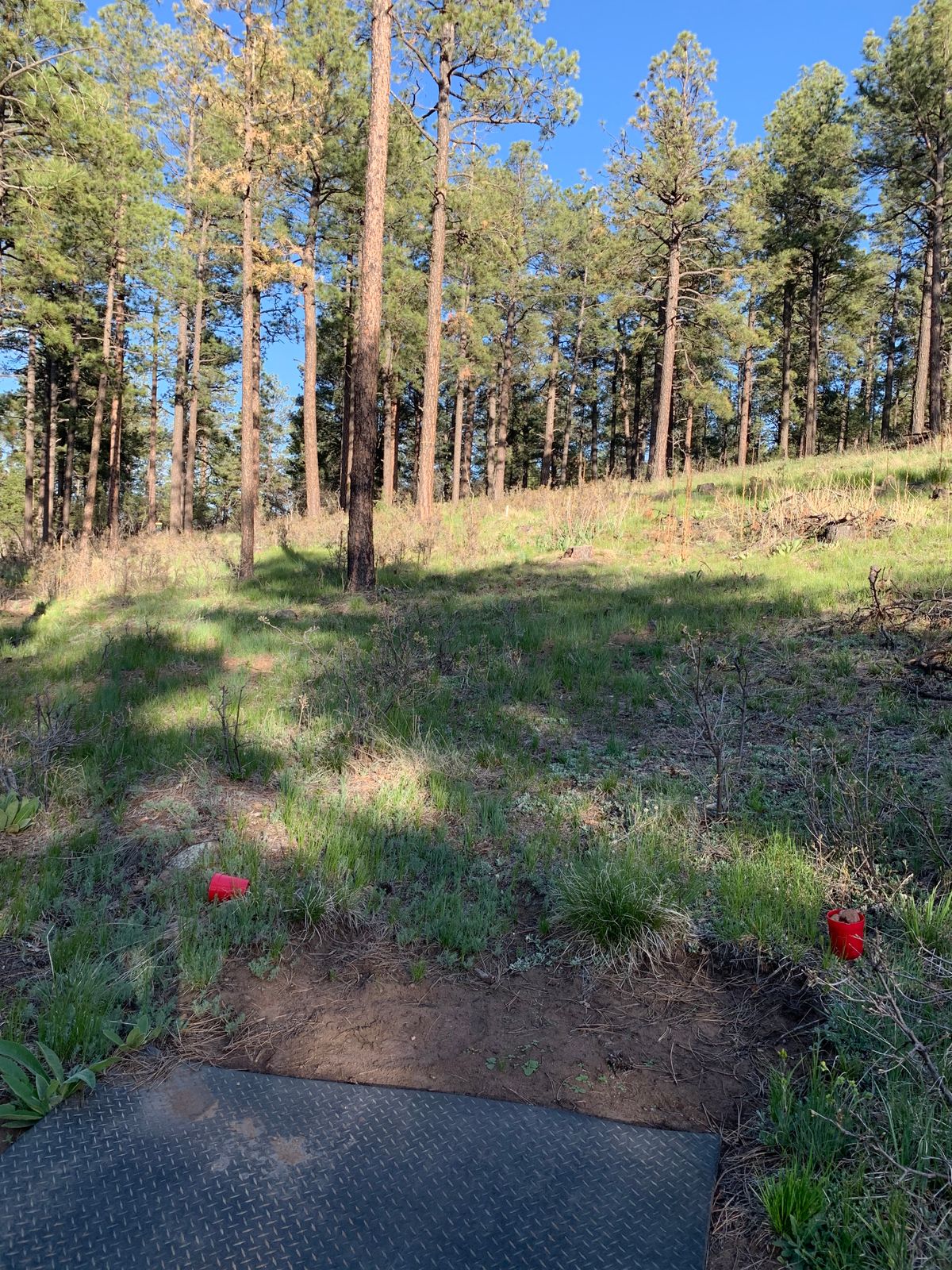 Tee 18