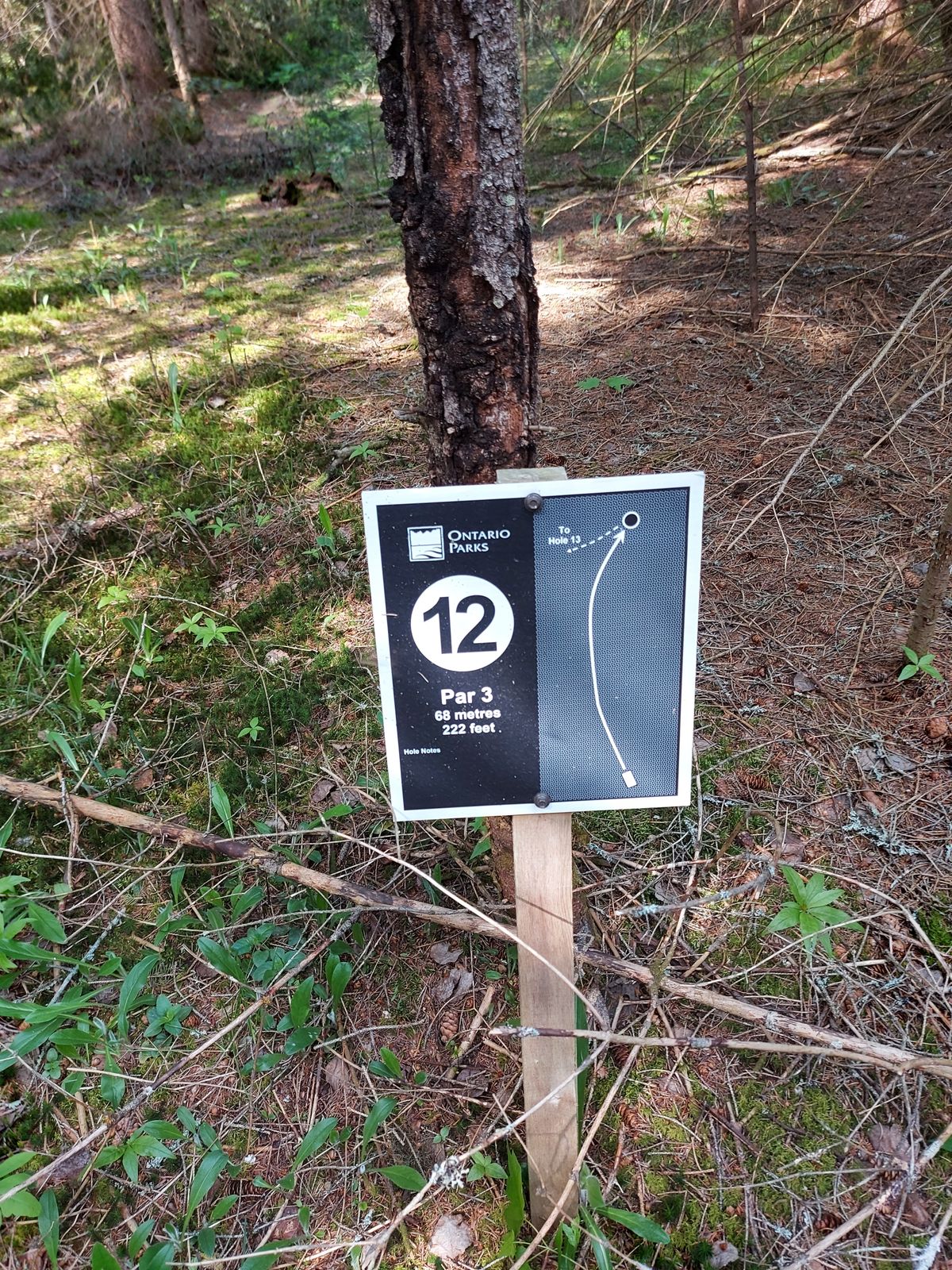 Hole sign 12. 222ft 🍁🌲🍁🌲🍁🌲