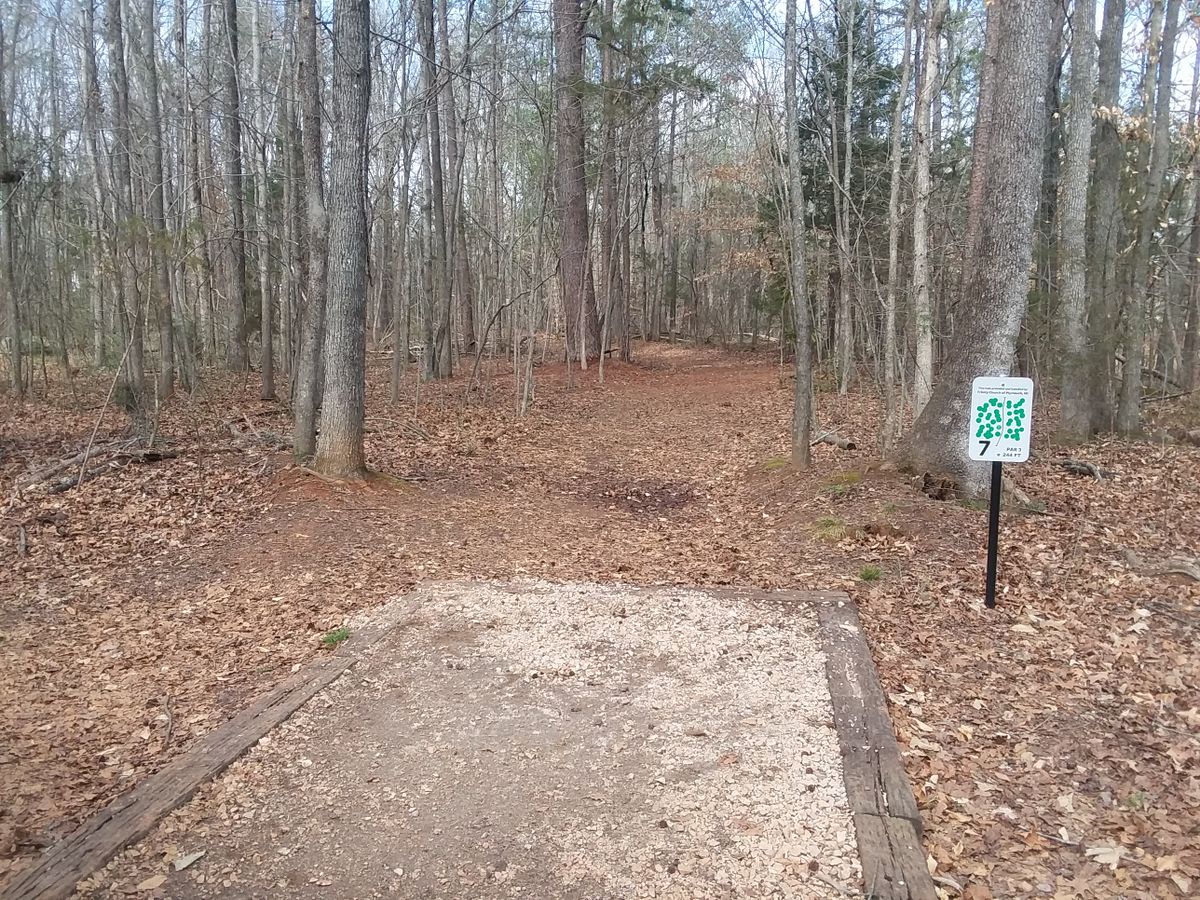 Fairway was shifted a little to the right this summer. Largely straight ahead; elevated basket.
