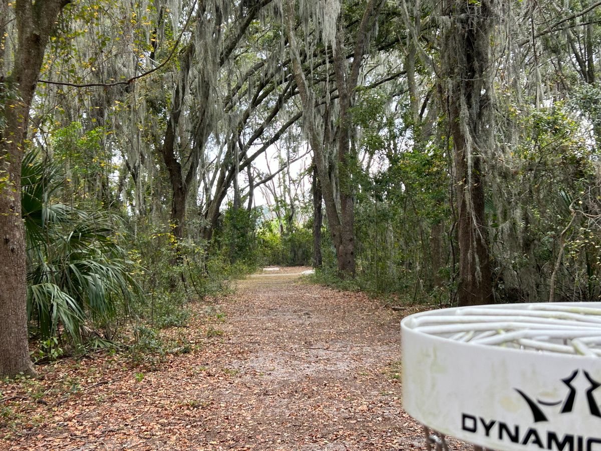 hole 8