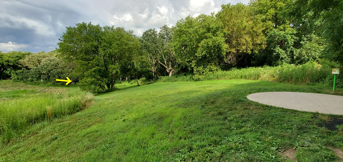 Just left of hole 10's tee off where you can see the basket.