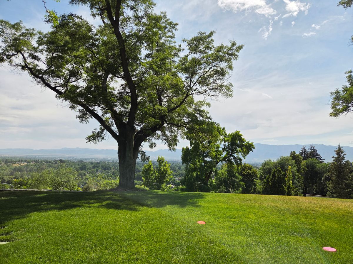 Hole 6's view from the fairway
