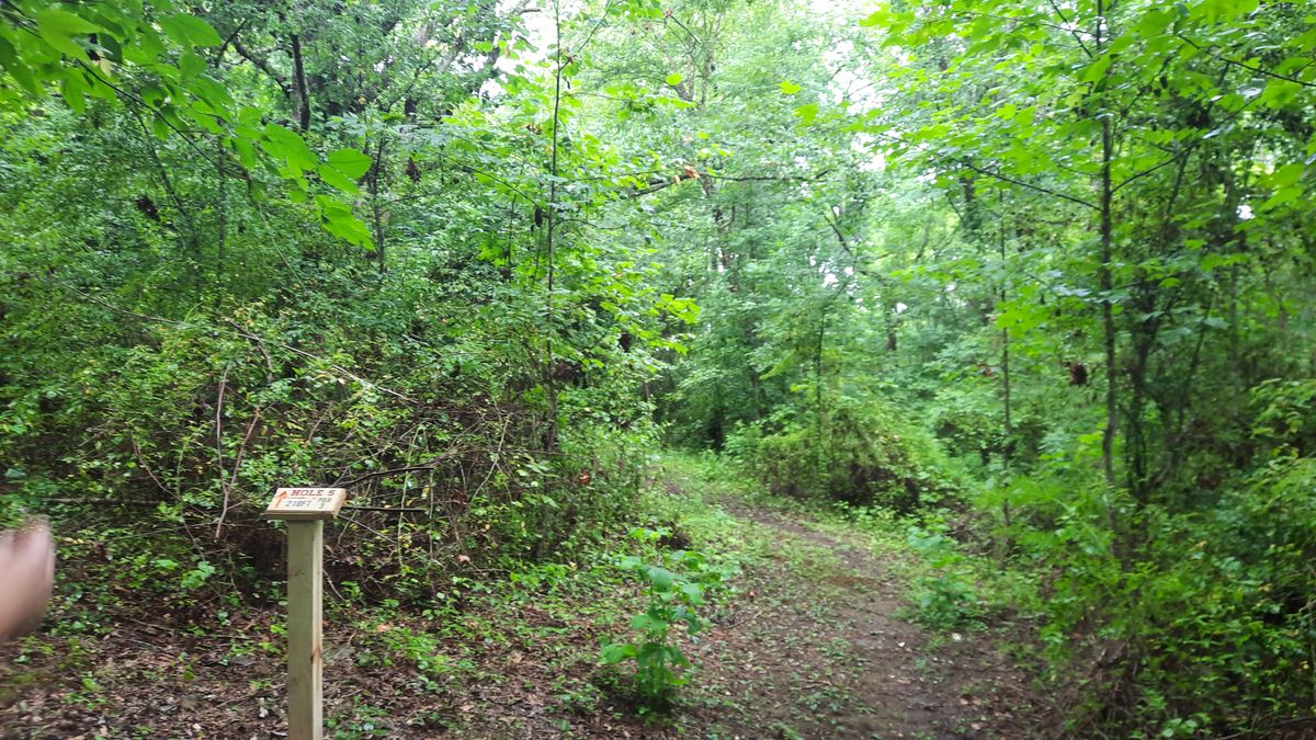 Hole 5