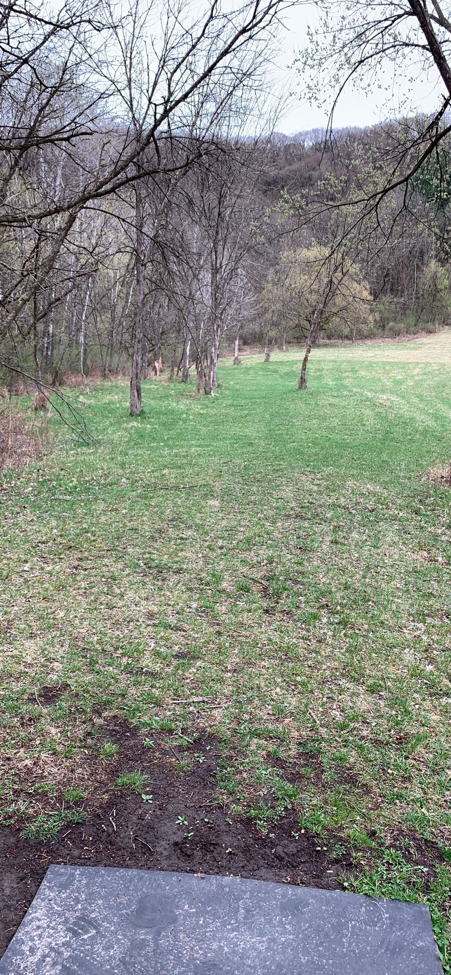 15 tee, no sign (again). Navigation for a first timer can be a bit tricky.