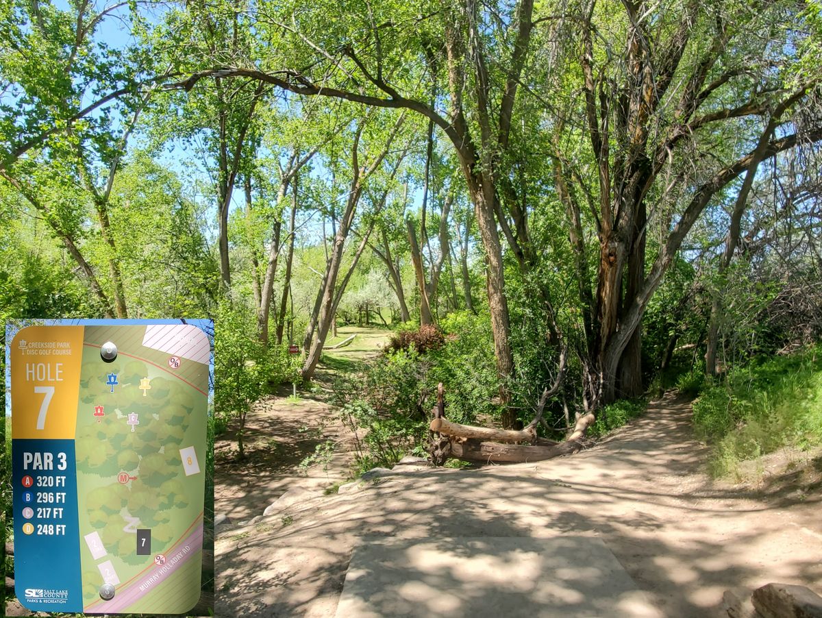Hole 7